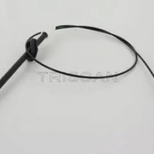 Aktuell TRISCAN Seilzug, Feststellbremse 8140 10150