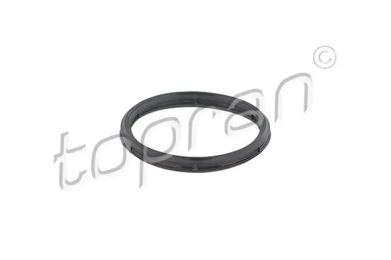 TOPRAN Dichtung, Ansaugkrümmer 408837 Top-Preis