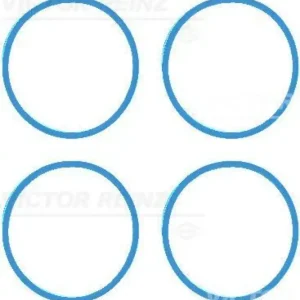 VICTOR REINZ Dichtungssatz, Ansaugkrümmer 11-42216-01 Billig