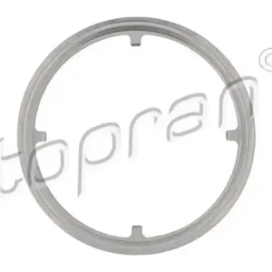 TOPRAN Dichtung, Abgasrohr 305234 Top-Angebot