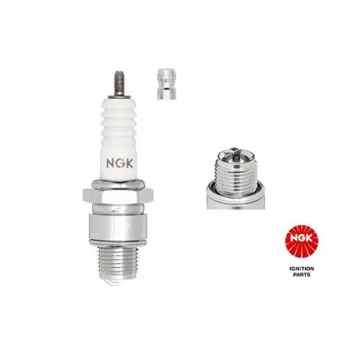 Expressversand NGK Zündkerze 2421