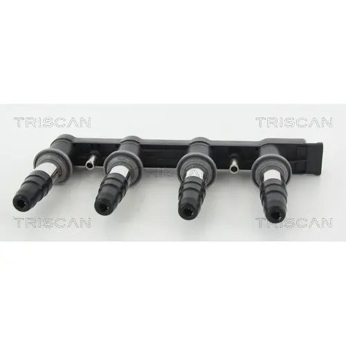 TRISCAN Zündspule 8860 10005 Meistverkauft