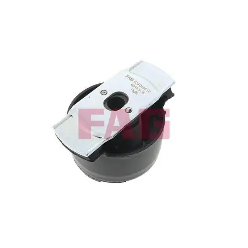 Aktuell Schaeffler FAG Lagerung, Achskörper 829 0494 10